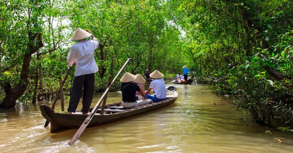 group of people swimming on body of water