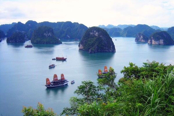 group of people swimming on body of water